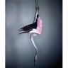 Flamingo II 2012