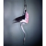 Flamingo II 2012